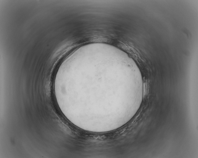 X0000111600243200908131409