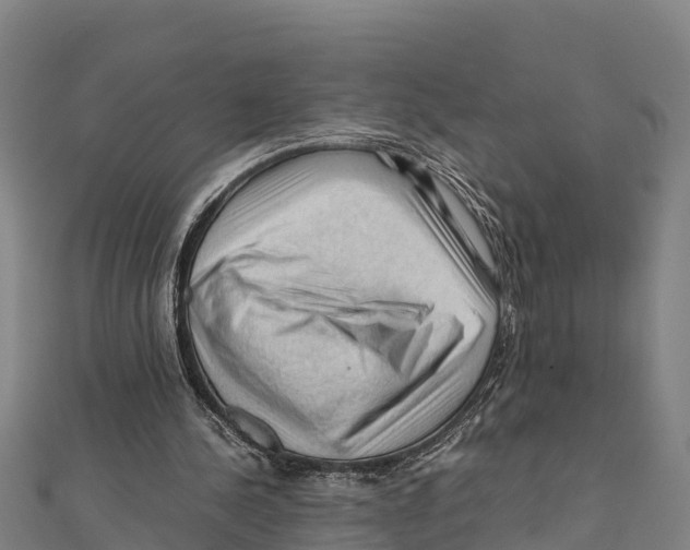 X0000111600244200908131409