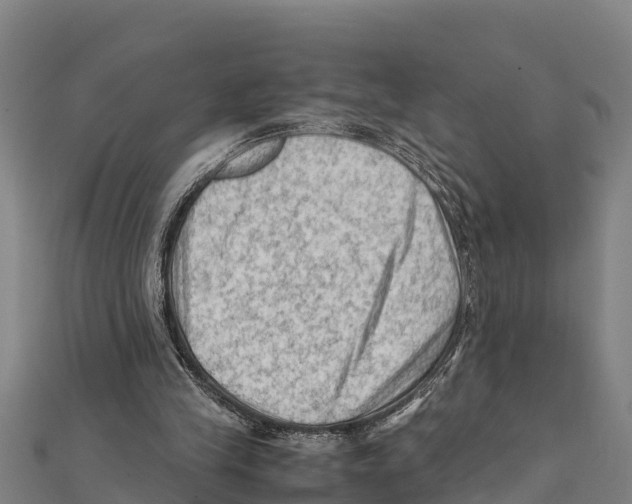 X0000111600245200908131409