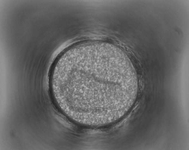 X0000111600246200908131409