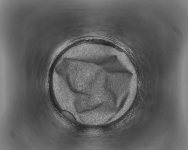 X0000111600248200908131409
