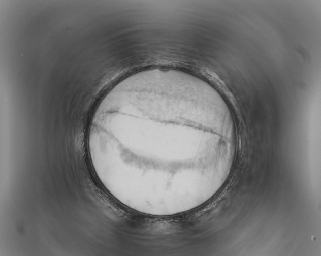 X0000111600249200908131409