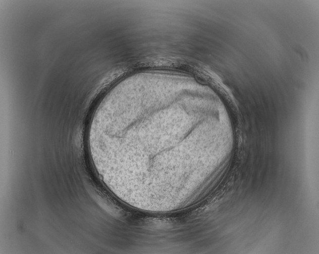 X0000111600250200908131409