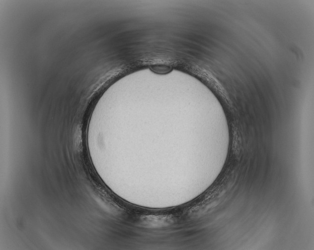 X0000111600251200908131409