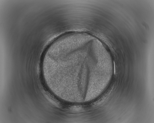 X0000111600252200908131409