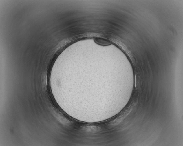 X0000111600253200908131409