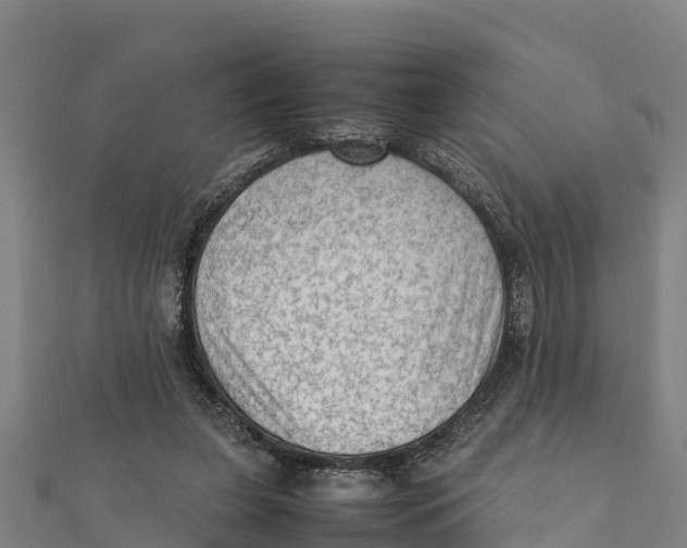 X0000111600255200908131409