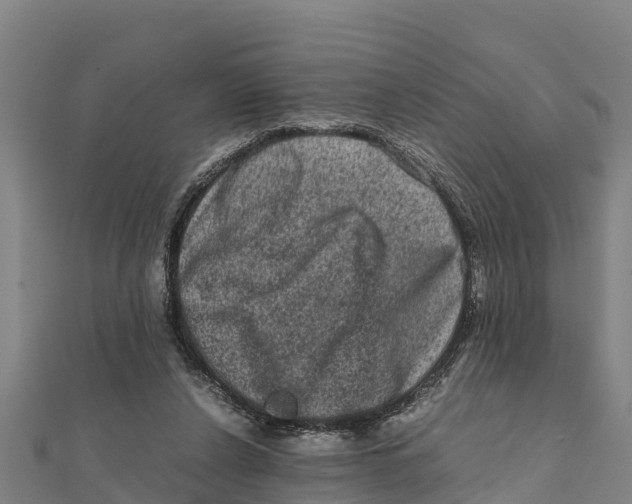 X0000111600256200908131409