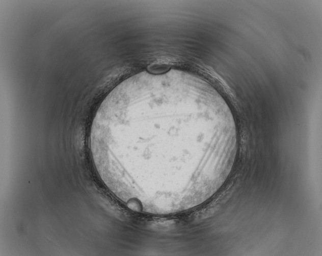 X0000111600257200908131409