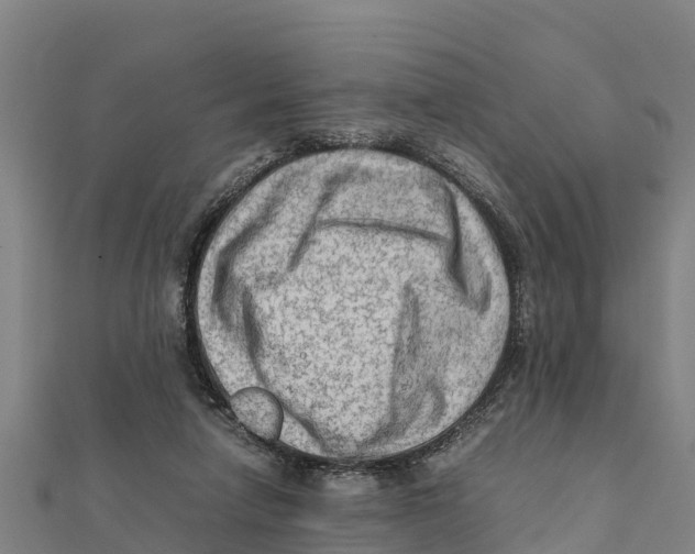 X0000111600258200908131409