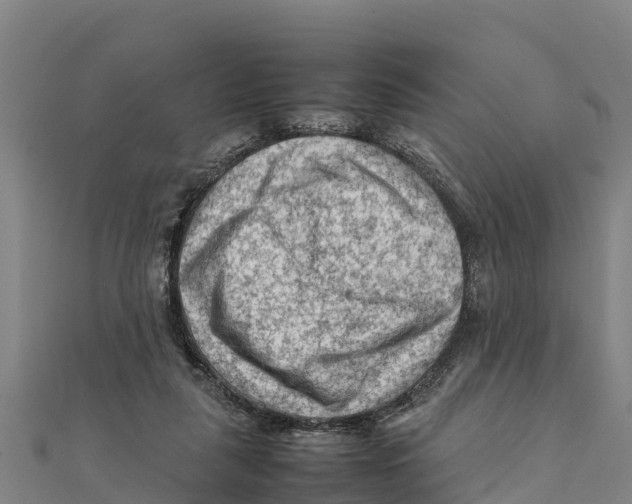 X0000111600259200908131409