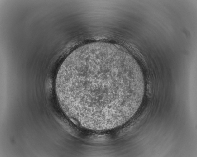 X0000111600260200908131409