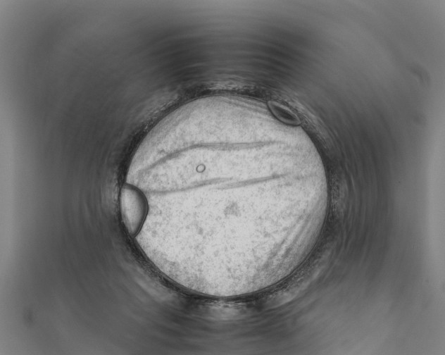 X0000111600261200908131409