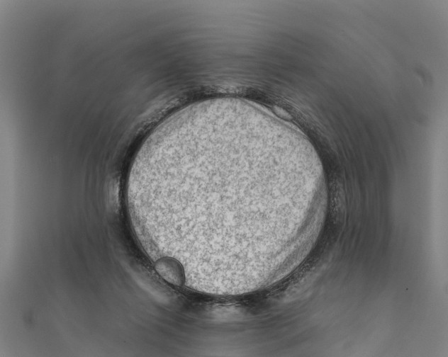 X0000111600262200908131409