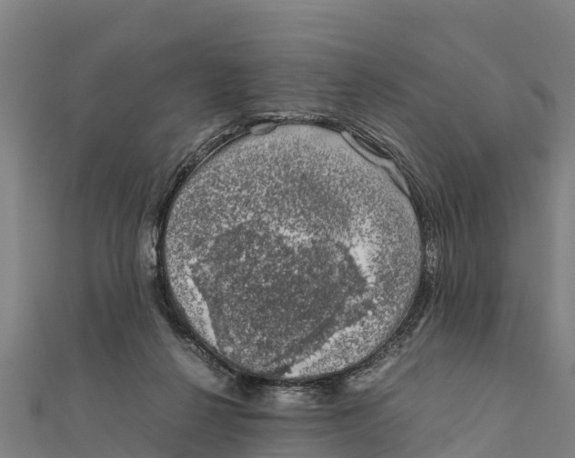 X0000111600264200908131409