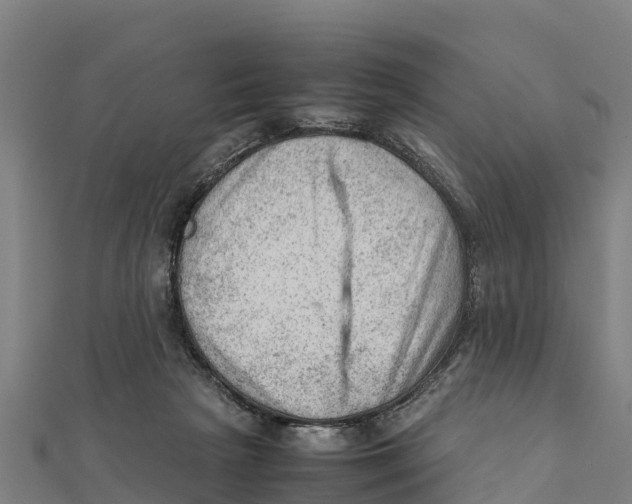 X0000111600265200908131409