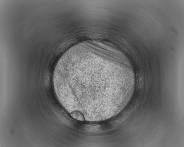 X0000111600266200908131409