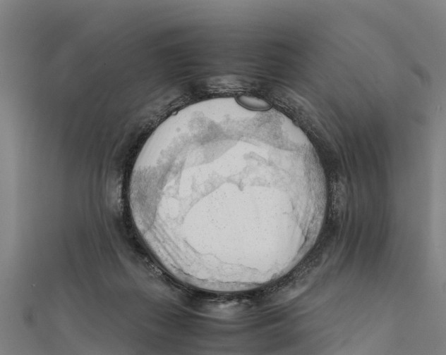 X0000111600267200908131409