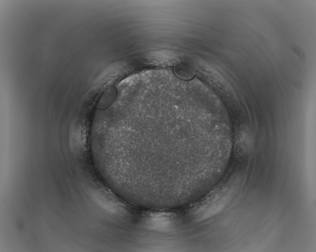 X0000111600268200908131409