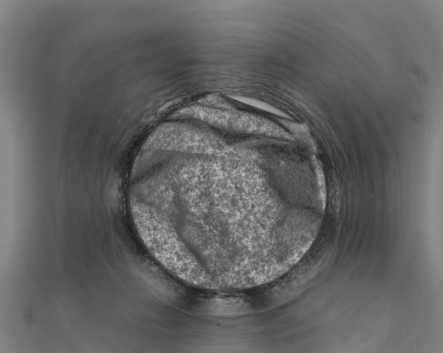 X0000111600270200908131410