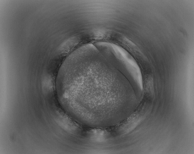 X0000111600272200908131410
