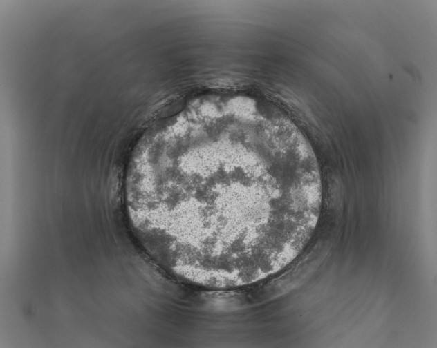 X0000111600273200908131410