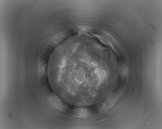 X0000111600276200908131410