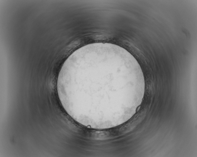 X0000111600277200908131410
