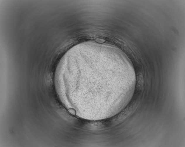 X0000111600278200908131410