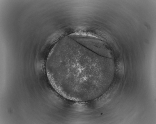 X0000111600280200908131410