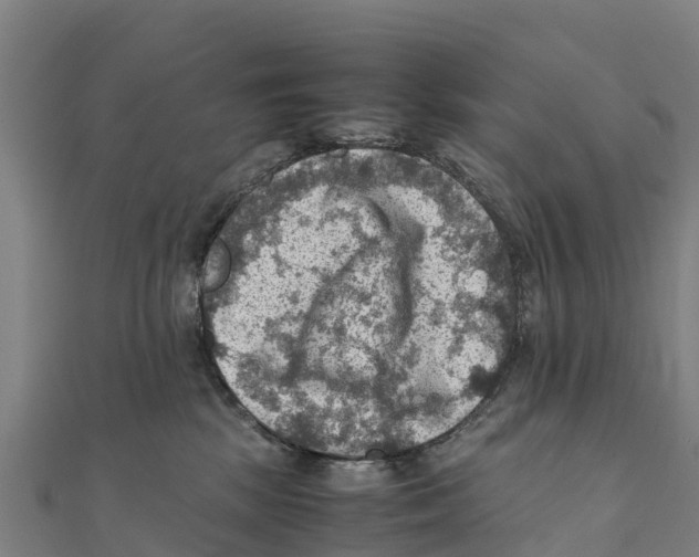 X0000111600281200908131410