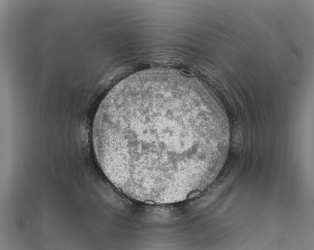 X0000111600282200908131410