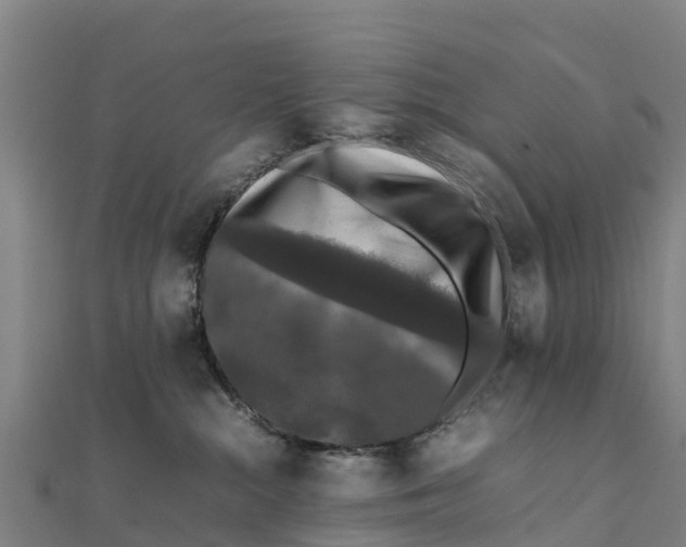 X0000111600284200908131410