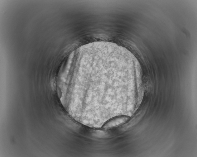 X0000111600285200908131410