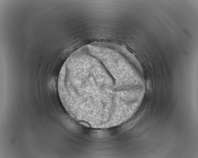 X0000111600286200908131410