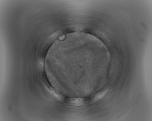 X0000111600288200908131410
