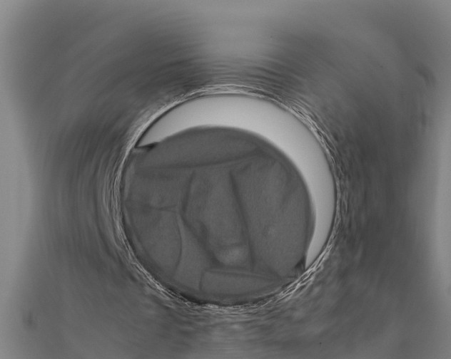 X0000111600289200908131409