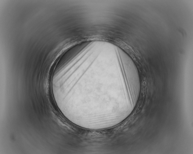 X0000111600290200908131409