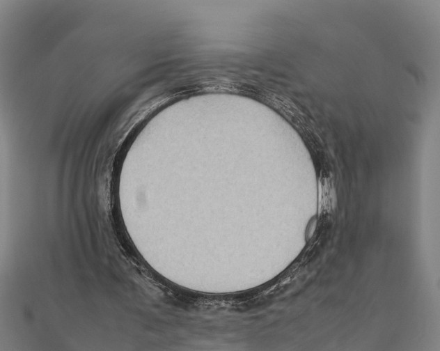 X0000111600291200908131409