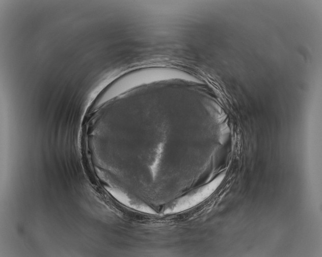 X0000111600292200908131409
