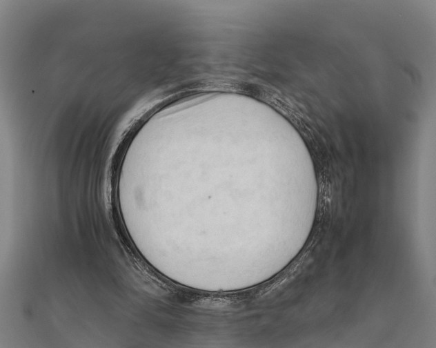 X0000111600294200908131409