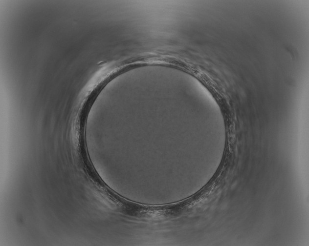 X0000111600295200908131409
