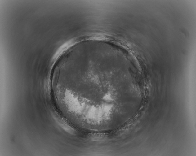X0000111600296200908131409