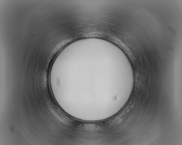 X0000111600298200908131409