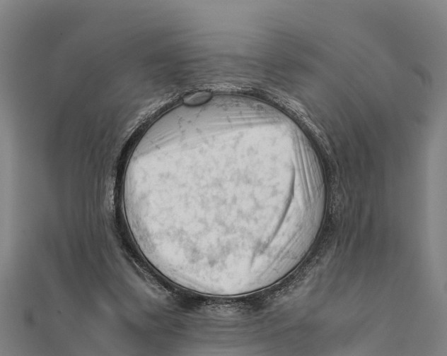 X0000111600299200908131409