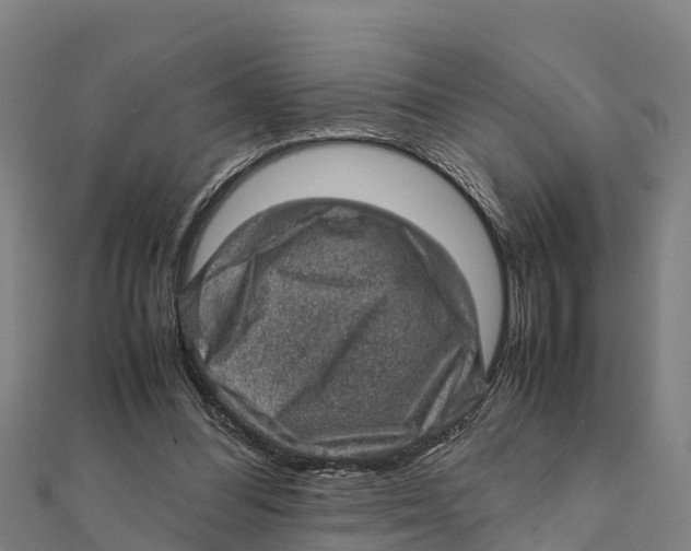 X0000111600300200908131409