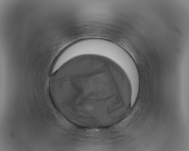 X0000111600301200908131409