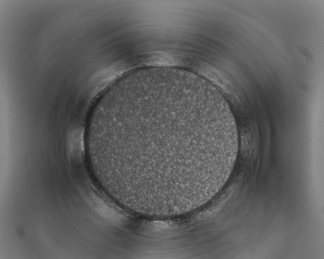 X0000111600302200908131409