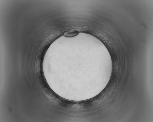 X0000111600303200908131409