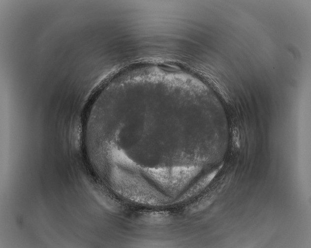 X0000111600304200908131409